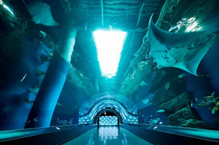 Maxell Aqua Park Shinagawa