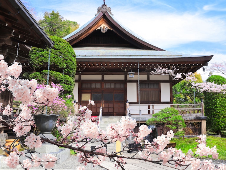 镰仓 Tours & Attractions - Trip To Japan