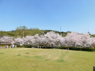 Settsukyo Park