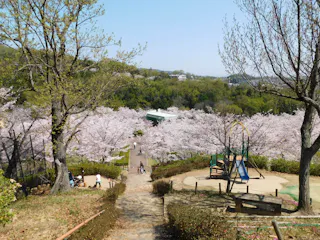 Settsukyo Park