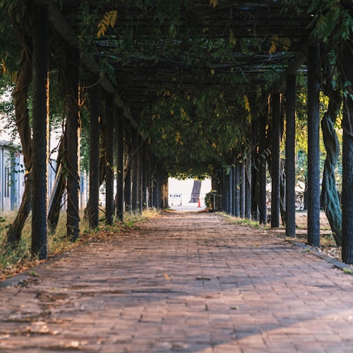 Shibukawa Park, Okayama Shibukawa Park, Okayama