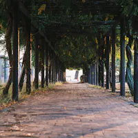 Shibukawa Park, Okayama Shibukawa Park, Okayama