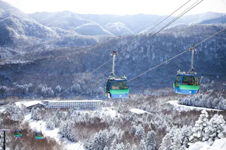 Shiga Kogen Yakebitaiyama Ski Resort