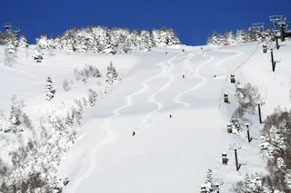 Shiga Kogen Yakebitaiyama Ski Resort