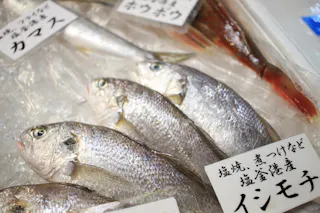 Shiogama Fish Market
