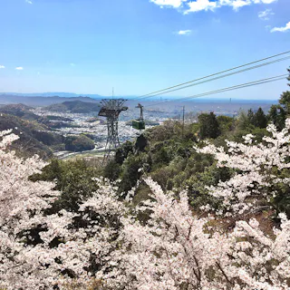 Mount Shosha Ropeway Mount Shosha Ropeway