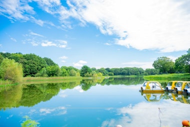 Showa Memorial Park