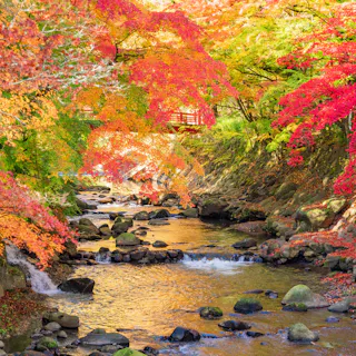 Shuzenji Onsen Shuzenji Onsen