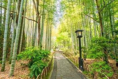 Shuzenji Onsen