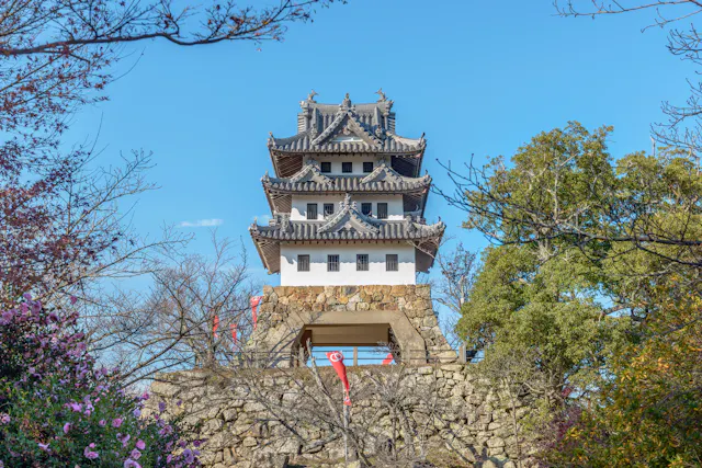 Sumoto Castle Ruins