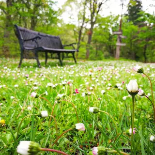 Tajima Highland Botanical Garden