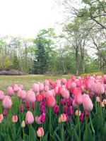 Tajima Highland Botanical Garden