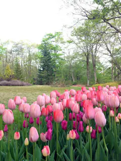 Tajima Highland Botanical Garden