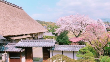 Tamawakasu-mikoto Shrine