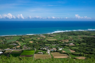Tanegashima