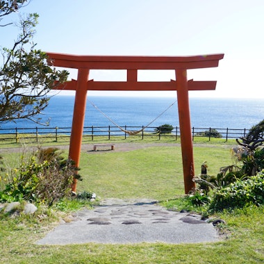 Tanegashima Tanegashima