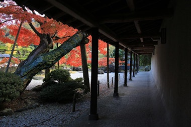 Tanimura Art Museum