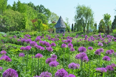 Ueno Farm