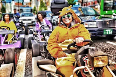 Tokyo Go-Kart