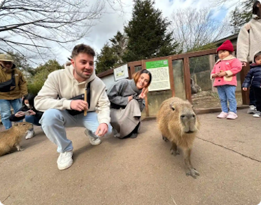 Mount Fuji and Hakone City Tour