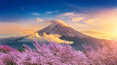 Mount Fuji