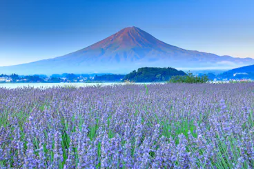Lake Kawaguchiko