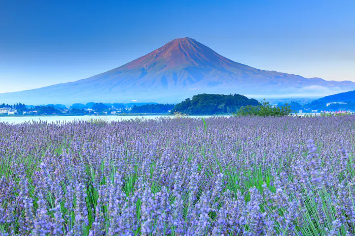 Lake Kawaguchiko