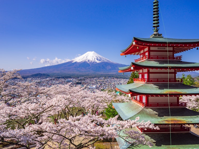 Private Mount Fuji and Hakone City Tour from Tokyo