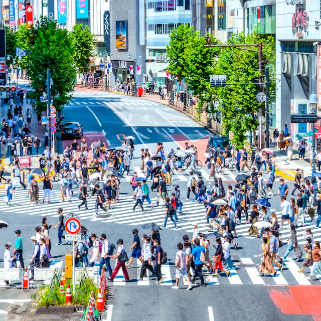 Shibuya Crossing Shibuya Crossing