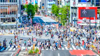 Shibuya Crossing