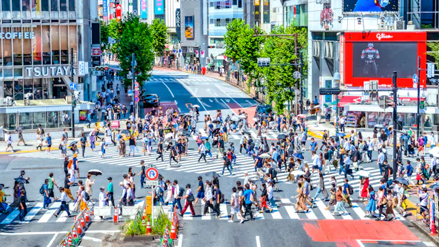 Shibuya Crossing