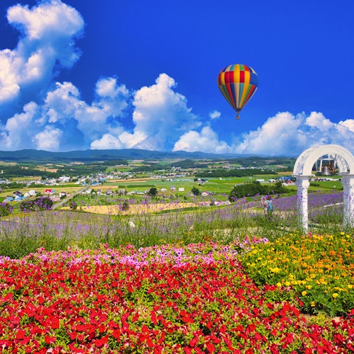 Beautiful flower garden in Furano Beautiful flower garden in Furano