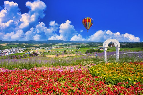 Beautiful flower garden in Furano