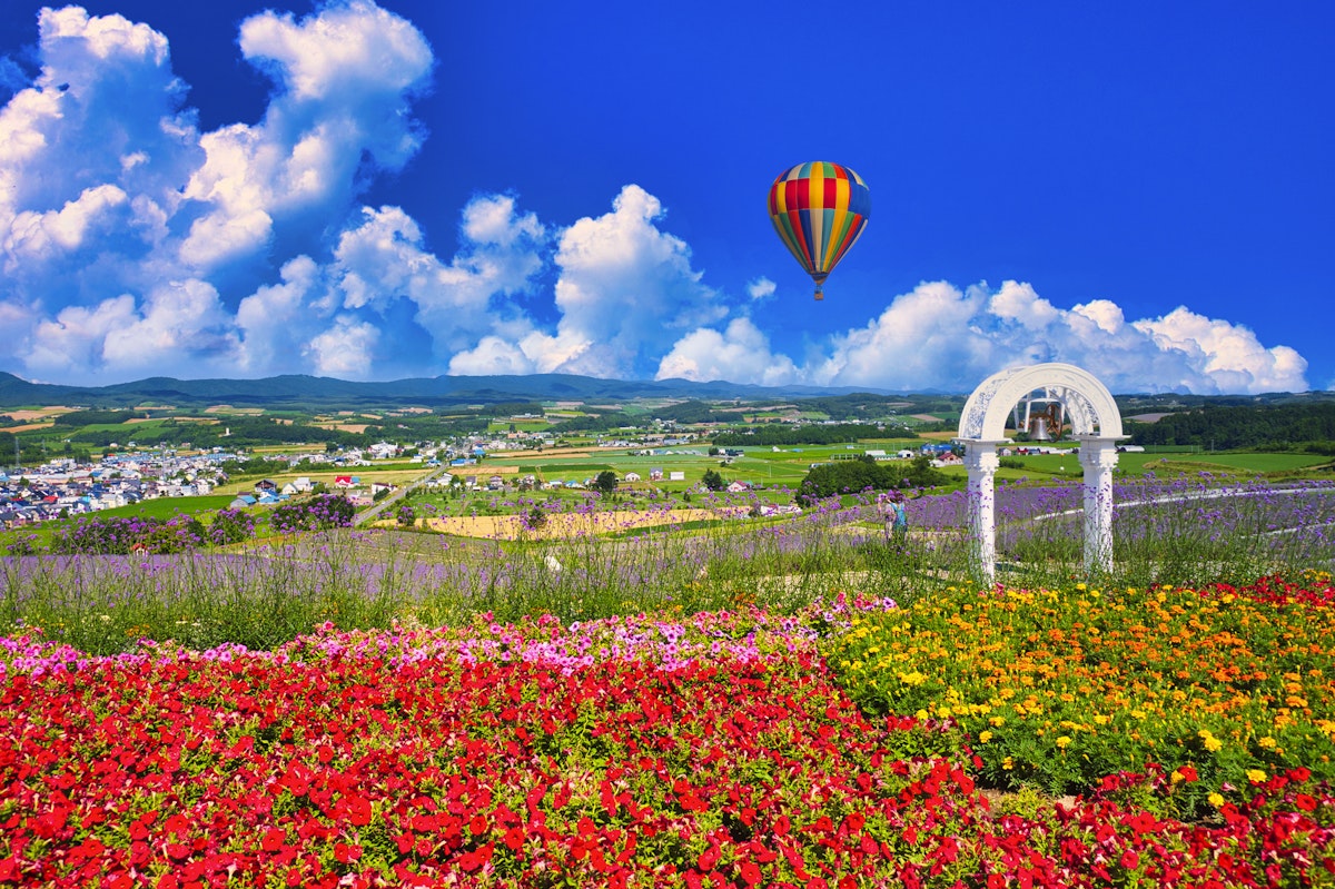 Beautiful flower garden in Furano