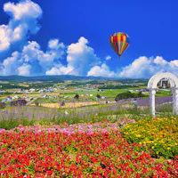 Beautiful flower garden in Furano Beautiful flower garden in Furano