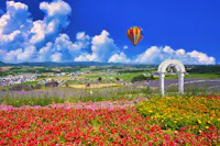 Beautiful flower garden in Furano
