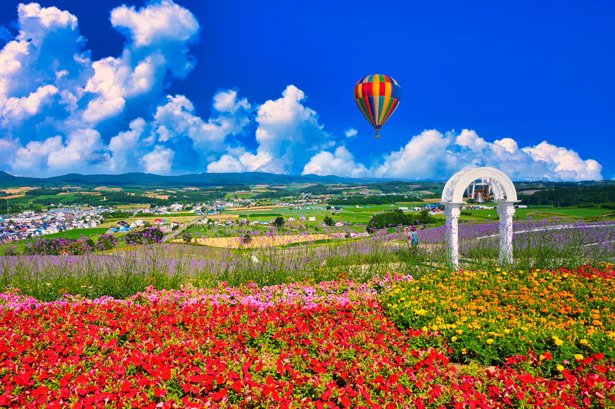 Beautiful flower garden in Furano