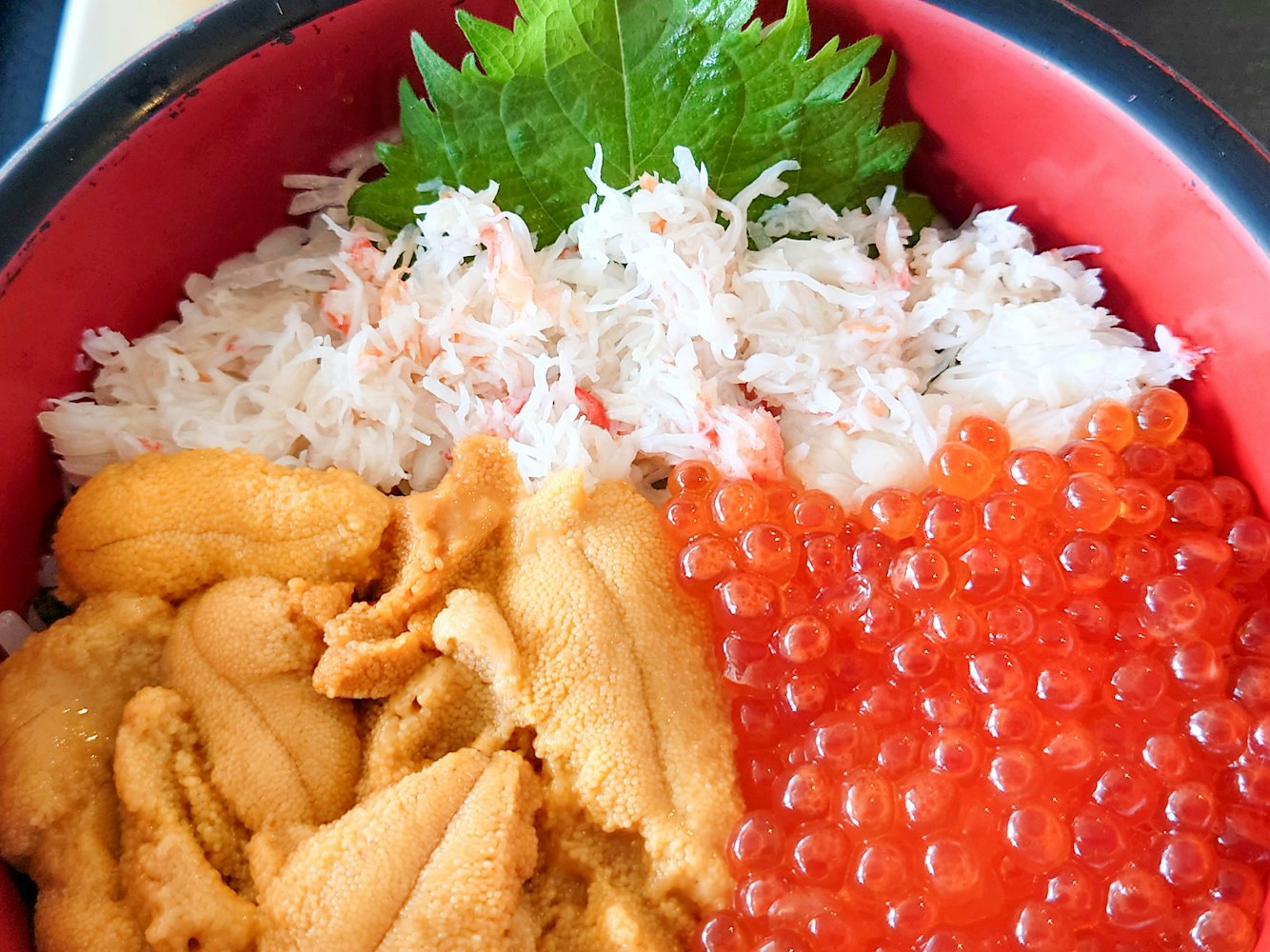 Fresh and sumptuous seafood meals