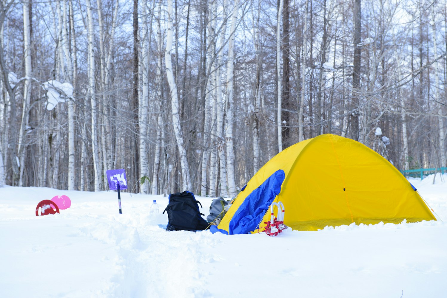Snowy Mountains Tent