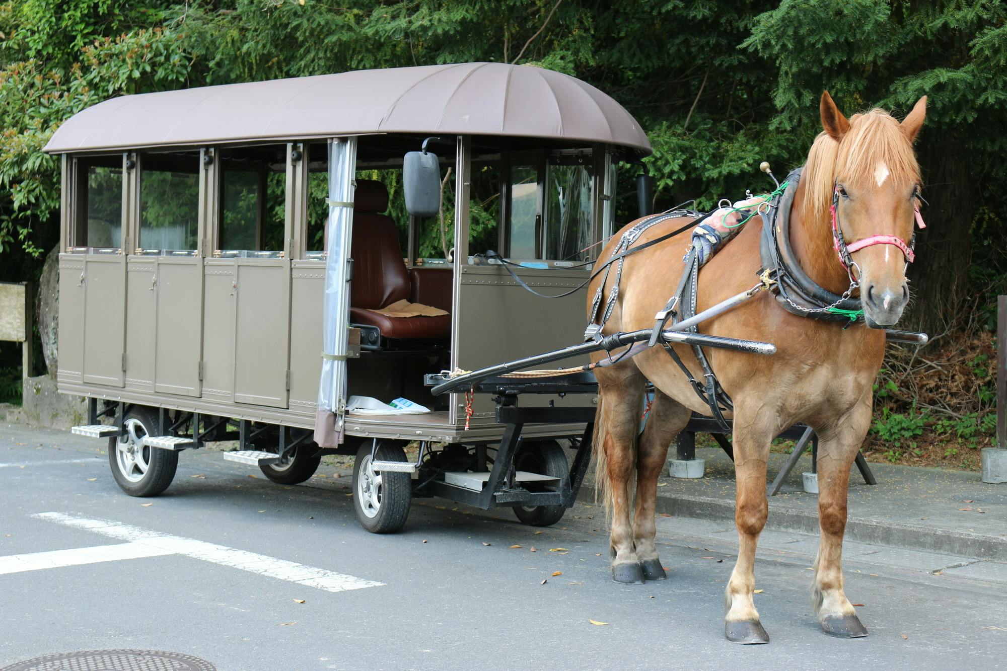 Yufuin Sightseeing Tsuji Carriage