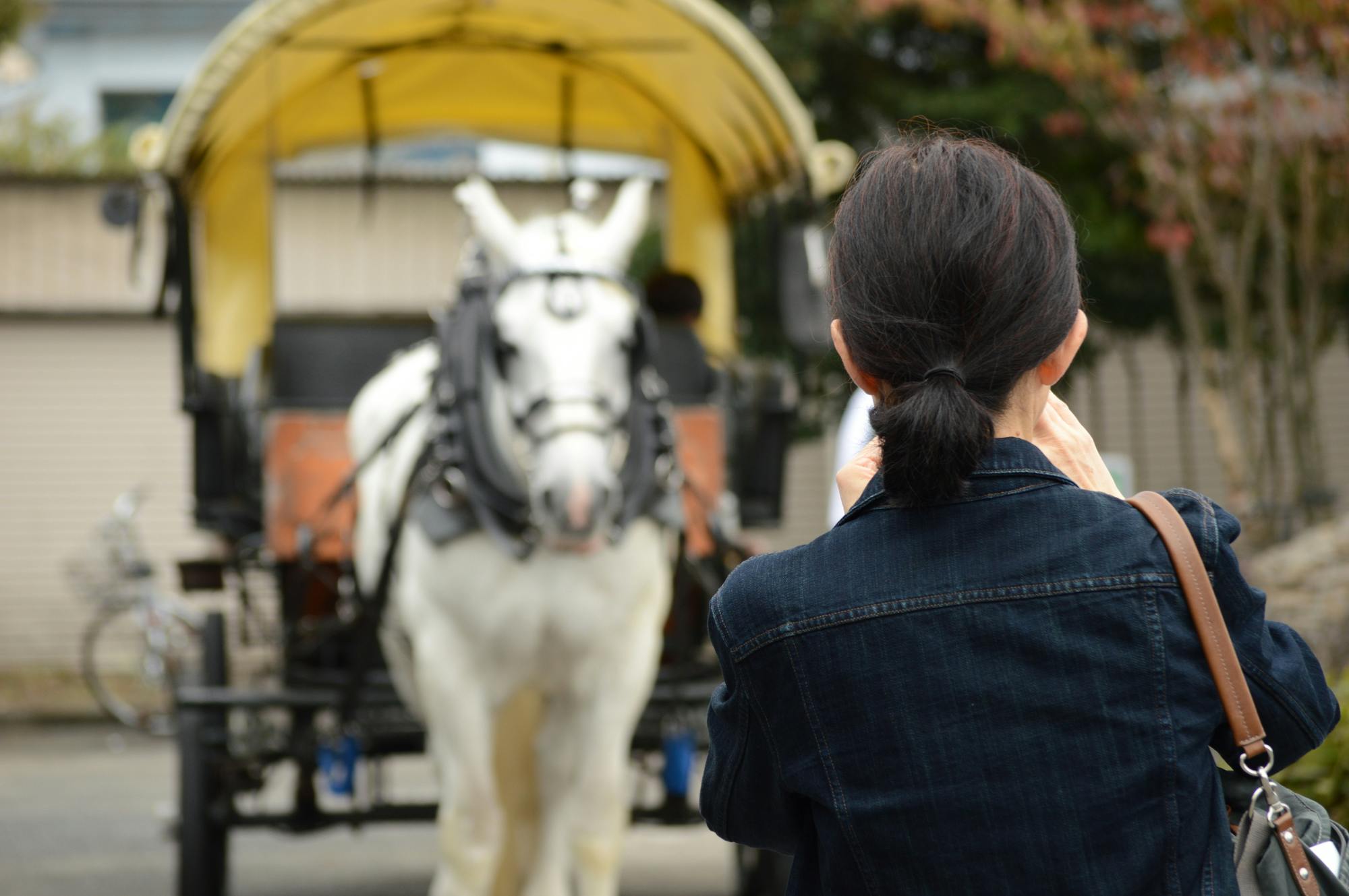 Yufuin Sightseeing Tsuji Carriage