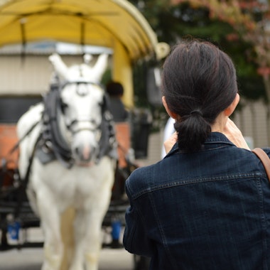 Yufuin Sightseeing Tsuji Carriage Yufuin Sightseeing Tsuji Carriage