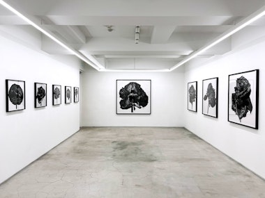 Akio Nagasawa Gallery Aoyama
