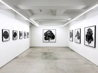 Akio Nagasawa Gallery Aoyama