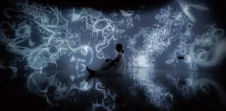 Art Museum of Nature and Human Non-Homogeneity