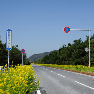 Boso Flower Line Boso Flower Line