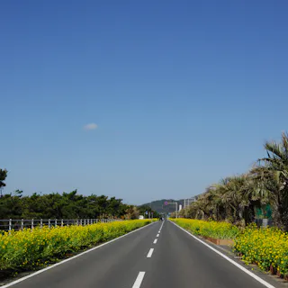 Boso Flower Line Boso Flower Line