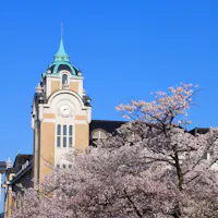 Cherry Tree at Koriyama Public Hall Cherry Tree at Koriyama Public Hall