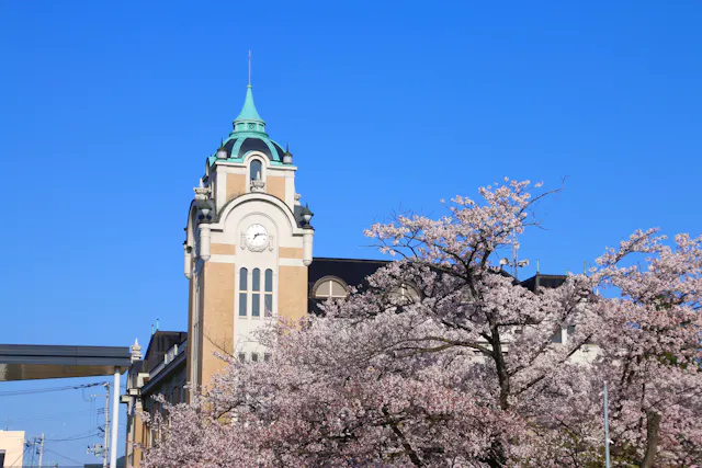 Cherry Tree at Koriyama Public Hall