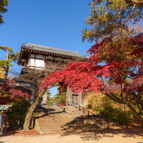 Chiaki Park (Senshu Park), Akita Chiaki Park (Senshu Park), Akita